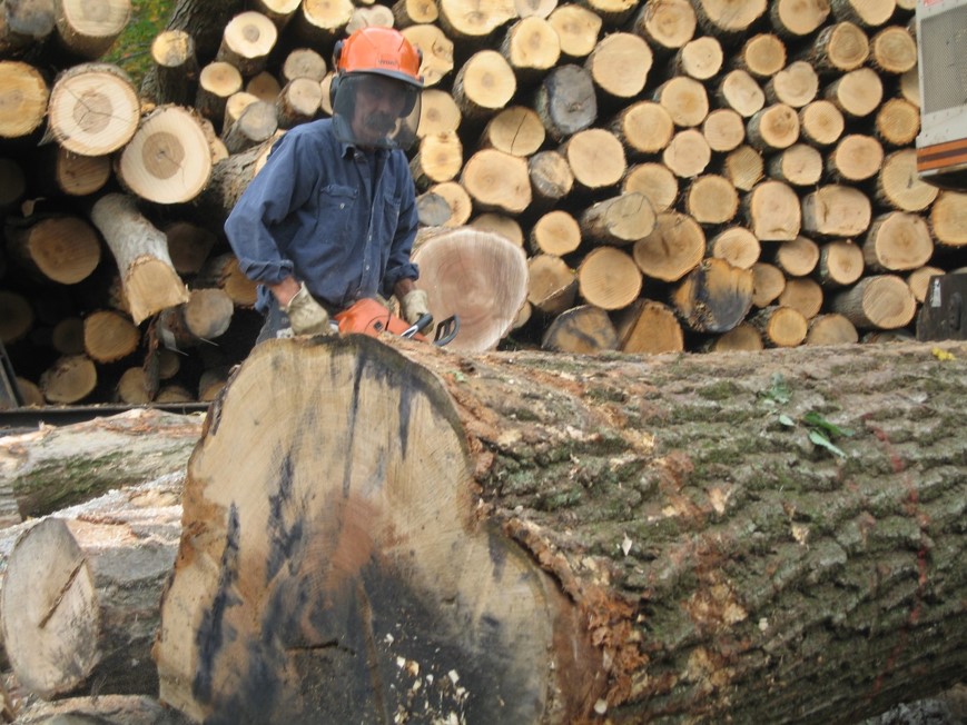 Logging & Land Clearing