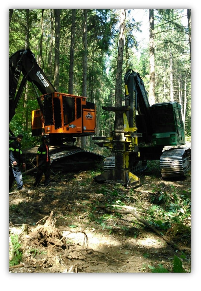 Logging & Land Clearing TREEMASTERS Groton, NY Logging